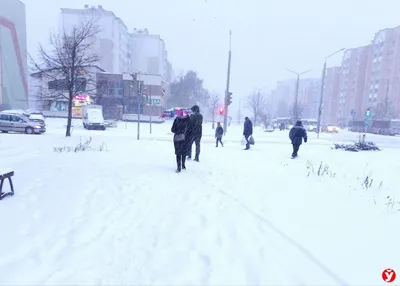 Вот и все: в Минске пошел настоящий снег. Смотрите, какой - CityDog.io