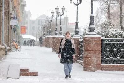 Какой будет погода во вторник? Небольшой снег и гололедица ожидаются в  Беларуси