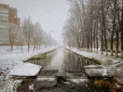 Дороги на Западе страны с самого утра засыпало снегом. К обеду накрыло и  Минск
