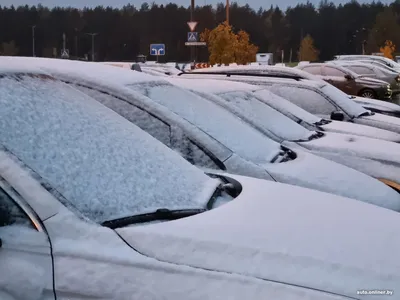 ФОТОФАКТ: Снегопад в Минске