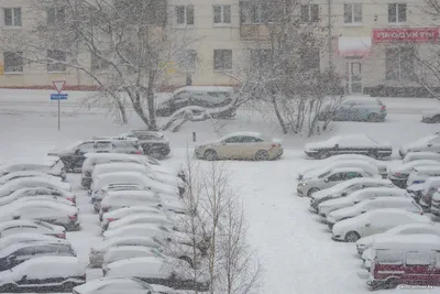 Снегопад в Минске. Хронология