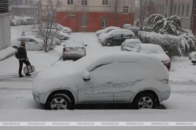 Снегопад в Минске. Хронология
