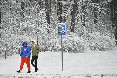 Фото недели: Зимние прогулки по парку Челюскинцев в Минске - туристический  блог об отдыхе в Беларуси
