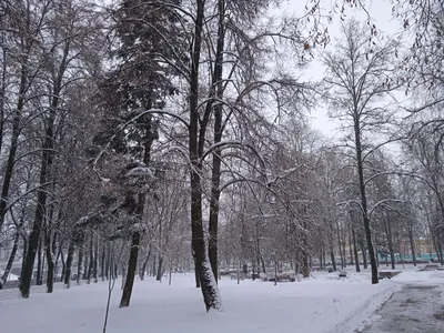 В Минске пошел ледяной дождь. Что делать в такую непогоду?