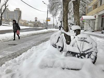 Синоптики рассказали о погоде в Москве в среду - РИА Новости, 01.12.2021