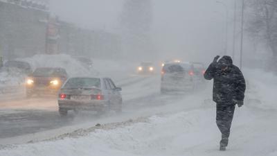 В Москве выпало рекордное количество снега за всю историю наблюдений — РБК