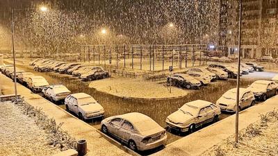 Фото: Москву засыпало снегом - BBC News Русская служба