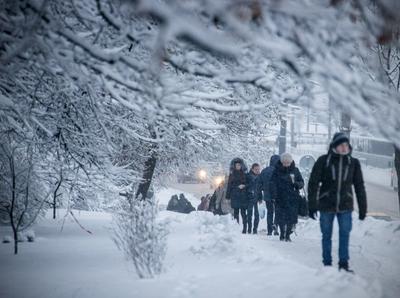 Сегодня в Москве сильный снегопад, и в этих условиях транспорт работает  штатно - Единый Транспортный Портал