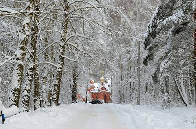 В Москве ожидается сильнейший за 72 года снегопад | 06.12.2021 | Грозный -  БезФормата