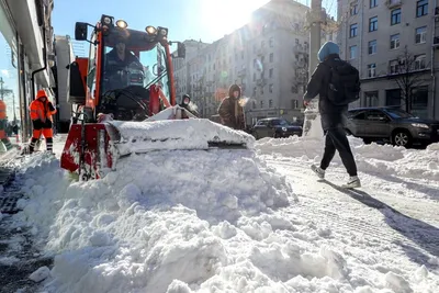 Сегодня ночью в Москве ожидаются снег, метель и гололедица - Москвич Mag