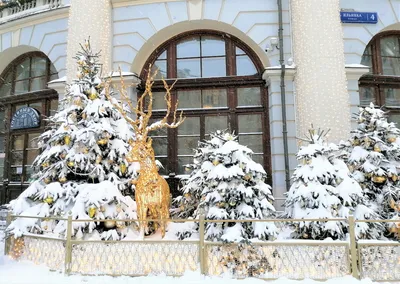 Черная метель\" и снегопад: что происходит в Москве при непогоде —  27.11.2023 — Статьи на РЕН ТВ