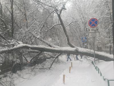 Воскресный снегопад в Москве стал самым сильным за 145 лет наблюдений -  Погода Mail.ru