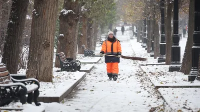 Погода в Москве и СПб сегодня, 6 февраля: что завтра, когда закончится снег