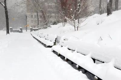 На Нью-Йорк обрушился сильный снегопад - РИА Новости, 29.01.2022