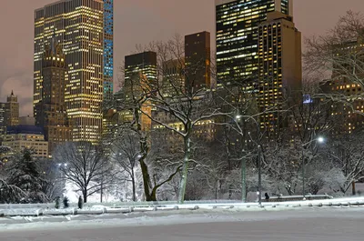 Снег в Нью-Йорке , центральный парк…» — создано в Шедевруме