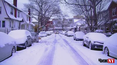 Какой будет предстоящая зима в Нью-Йорке: прогноз от экспертов AccuWeather