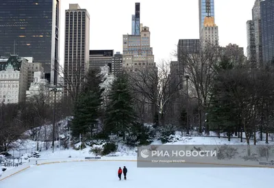 Снегопад в штате Нью-Йорк 20 ноября 2022 года - люди оказались в снежной  ловушке - видео - 24 Канал