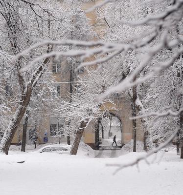 Посмотрите фотографии снежной Москвы – The City