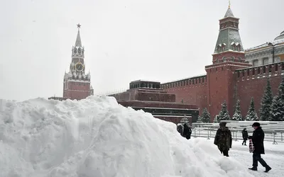 Сколько в Москве выпало снега