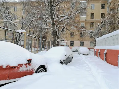 В Москву пришла снежная зима - фото с воскресной прогулки по Москве | ИСКРА  | Дзен