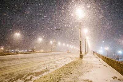 Вильфанд: на этой неделе в Москве будут побиты рекорды по высоте снега |  РБК Life
