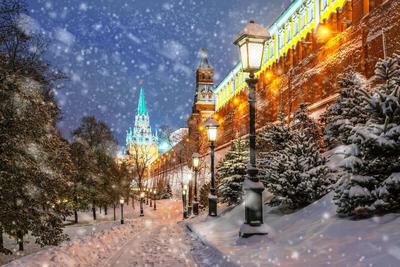 Москва | Фотографии | №9.1068 (Снежная тропинка)