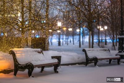 В Москву пришла снежная зима - фото с воскресной прогулки по Москве | ИСКРА  | Дзен