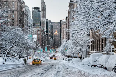 Все PRO США on X: \"Снежный день в Бруклине, Нью-Йорк #бруклинскиймост  #бруклин #ньюйорк https://t.co/jcULo0SWcw\" / X