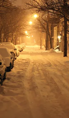 На Нью-Йорк и Бостон надвигается снежный шторм - ForumDaily
