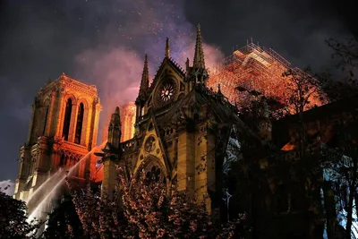 Собор Парижской Богоматери после пожара - фото как выглядит Нотр-Дам