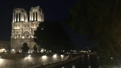 Собор Парижской Богоматери: три года спустя после пожара | Точка ART | Дзен