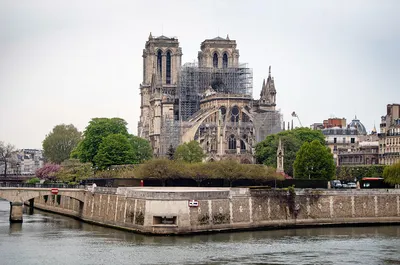 В соборе Парижской Богоматери после пожара укрепили свод
