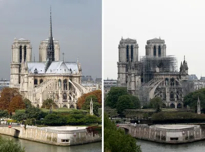Собор Парижской Богоматери после пожара | Фото | Общество | Аргументы и  Факты
