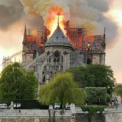 Собор Парижской Богоматери после пожара | Фото | Общество | Аргументы и  Факты