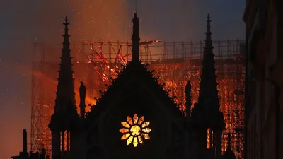 Пожар в соборе Парижской Богоматери: реакция звезд