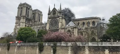 Власти Франции объяснили отказ тушить с воздуха Собор Парижской Богоматери  - Ведомости