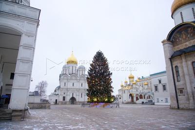 Главная новогодняя ёлка России на Соборной площади Московского Кремля •  Форум Винского