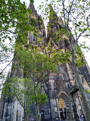 Ульмский собор (Ulmer Munster) в Германии