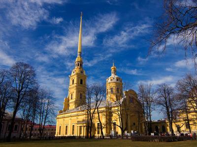 Собор Николая Чудотворца и Богоявления Господня, Адмиралтейский район (Санкт -Петербург), фотография. фасады Западный фасад собора