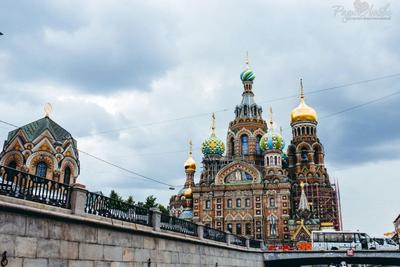 Колокольня Николо-Богоявленского собора. Соборы, церкви. Фото Санкт- Петербурга