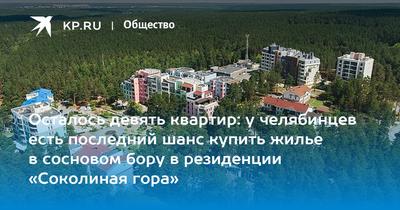 Соколиная гора Челябинск | ANB недвижимость | Дзен