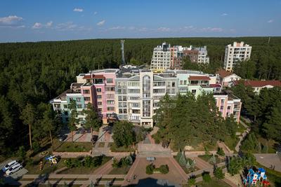 Соколиная гора: зеленый уголок посреди Челябинска - KP.RU