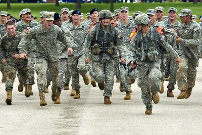 Подготовку новобранцев в армии США сократят, а стандарты снизят» - Газета.Ru