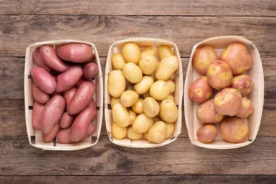 10 самых популярных сортов картофеля | Картофель, Гарниры, Еда