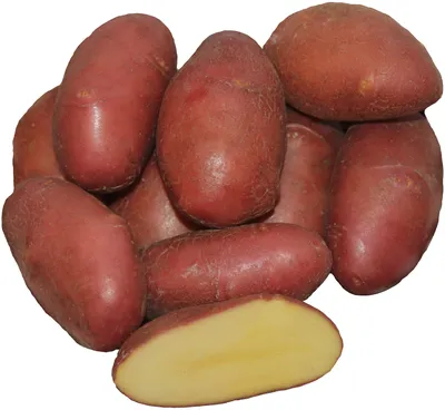 Картофель Гранада (Grаnаdа), от 10 кгНет в наличии: 20 грн. - Овощи Обухов  на BON.ua 89668365