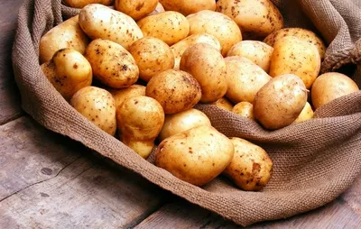 Картофель, среднеранние сорта — 70—75 дней Струмок, в сетке 3 кг
