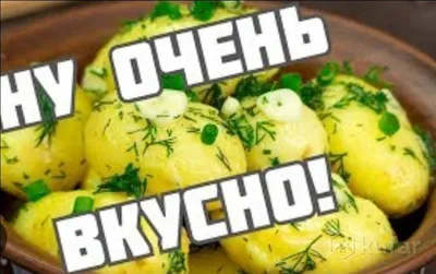 Сорта картофеля – выбираем сорт картофеля