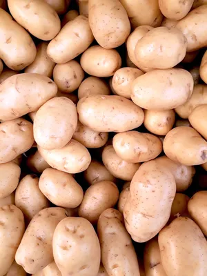 Купить Картофель с доставкой - категория Овощи в VARUS