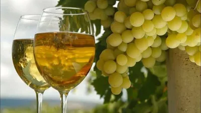 Пти вердо: описание сорта винограда, характеристики
