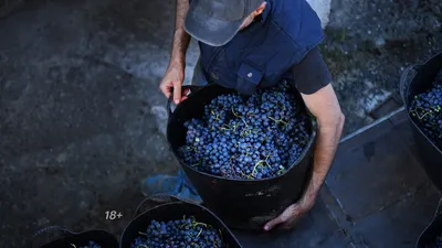 Вино белое сухое \"Лабеллум\" Драй Мускат, Италия, Базиликата, 0.75